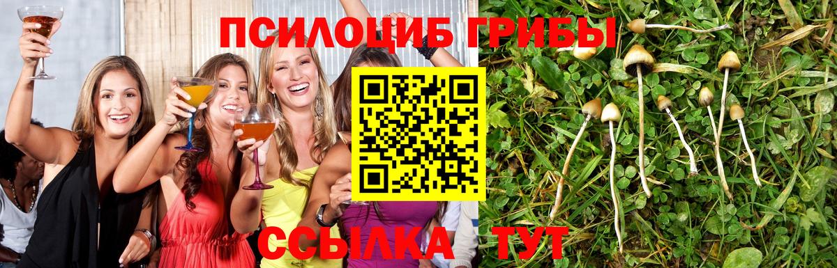 Псилоцибиновые грибы мицелий Урай